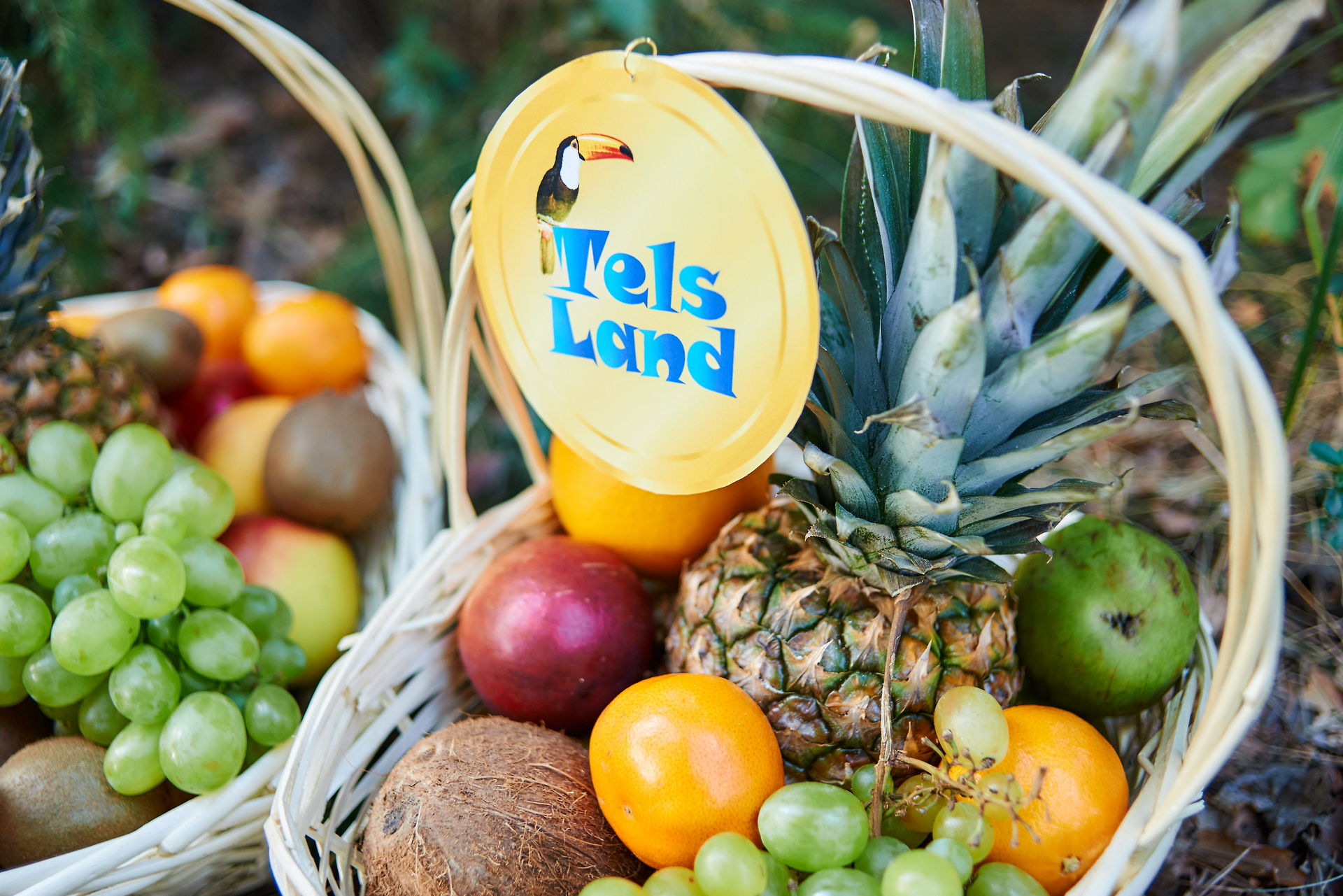 TELSLAND – ОСТРОВ МЕЧТЫ 13