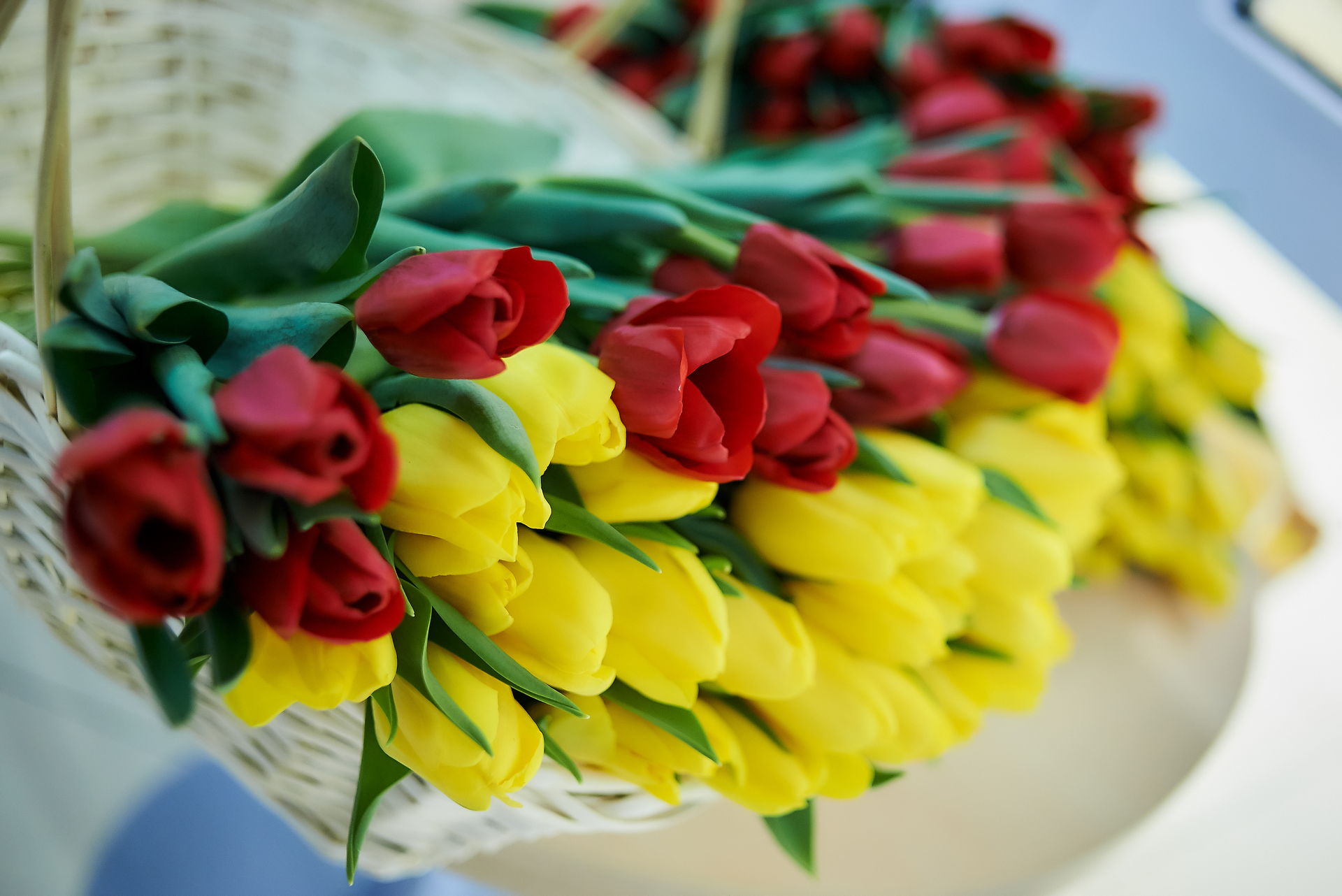 АРОМАТ ВЕСНЫ В АЛЬФА-БАНК