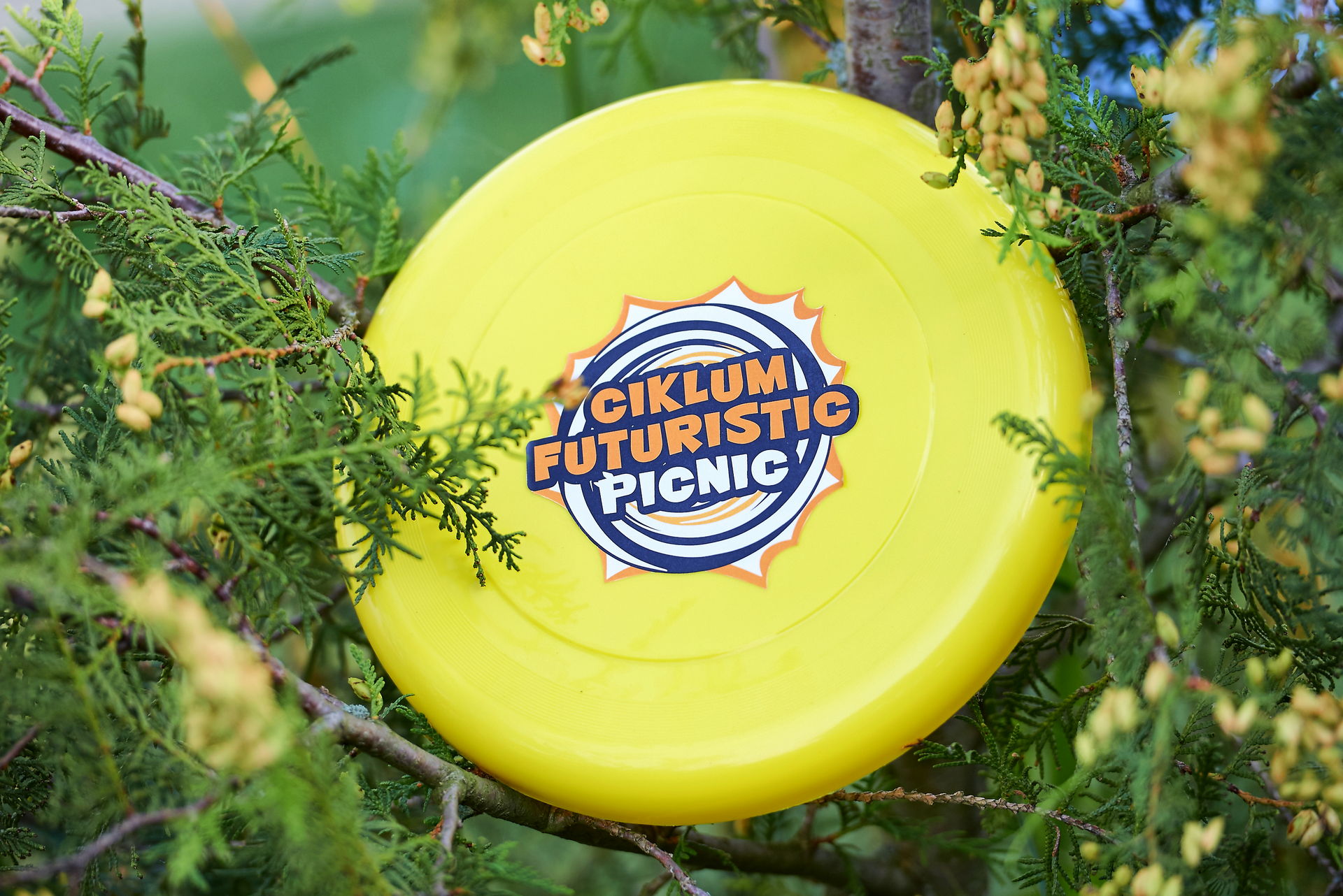 CIKLUM FUTURISTIC PICNIC