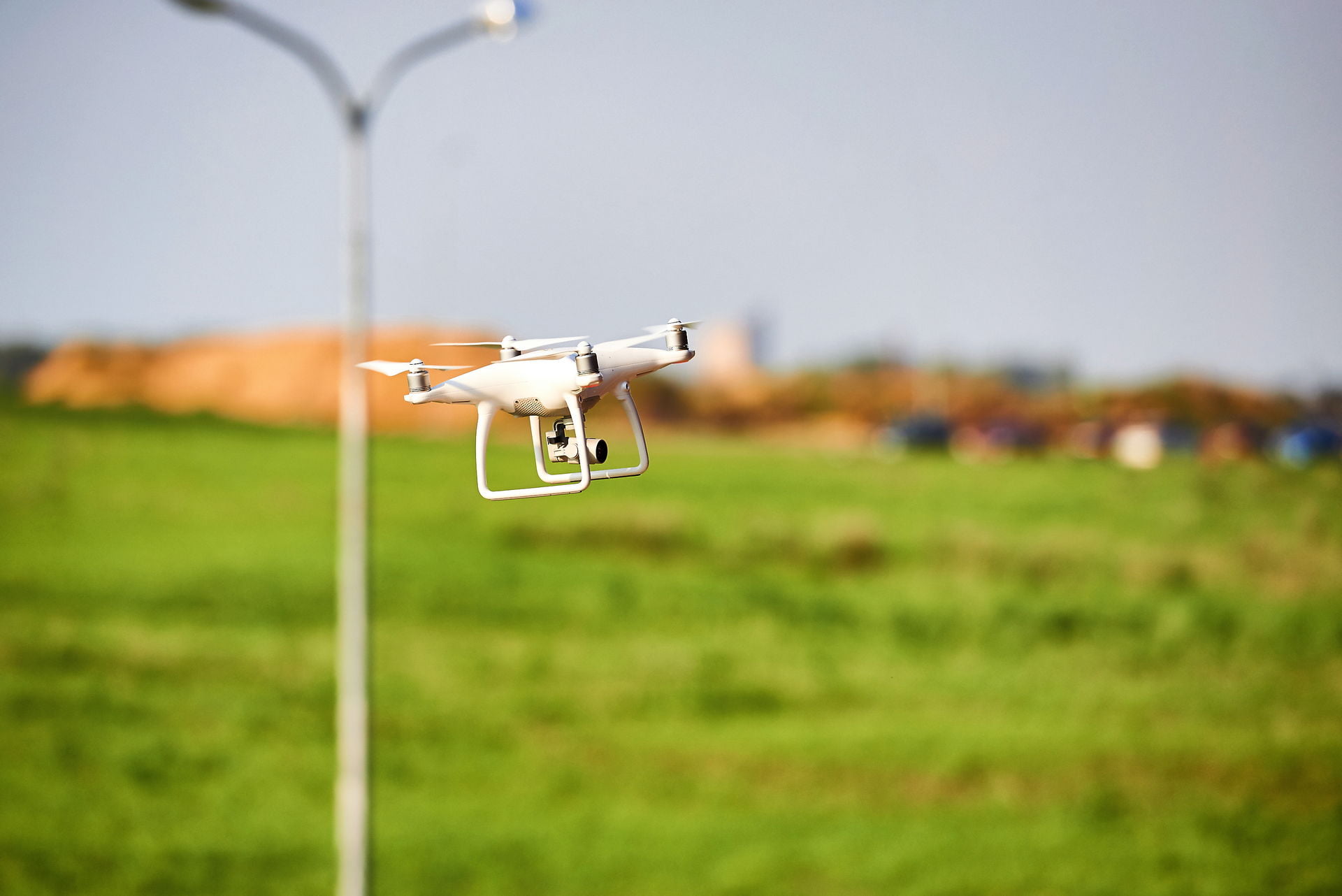 CIKLUM FUTURISTIC PICNIC 13