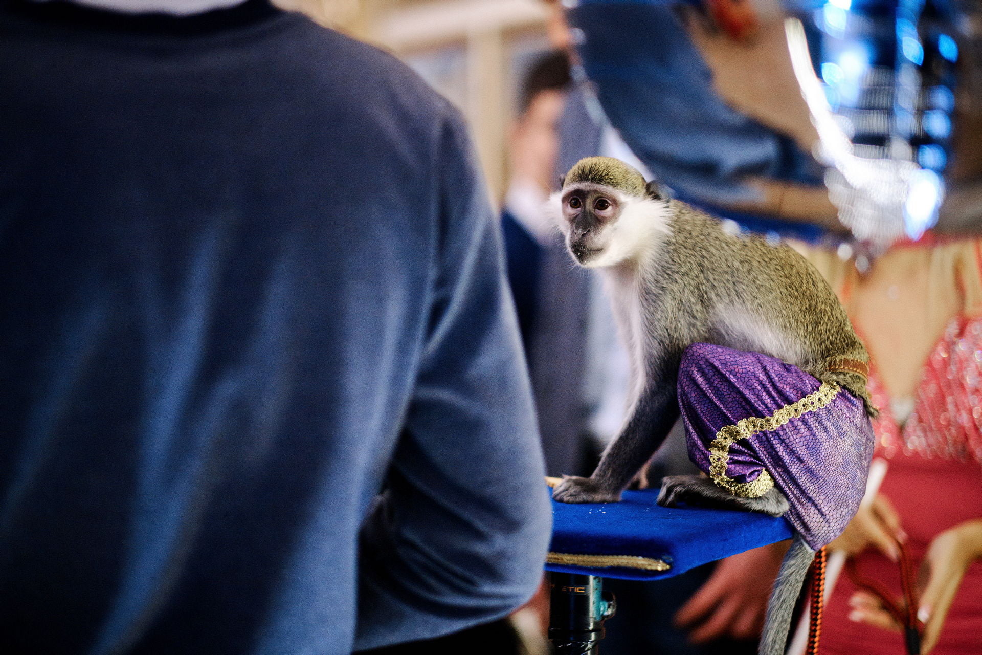 IMAGINARIUM LEVERX 3